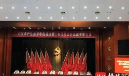 南京近期爆料新闻视频播放,揭秘背后惊人真相